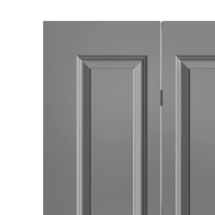 Bifold 2 Panel Door
